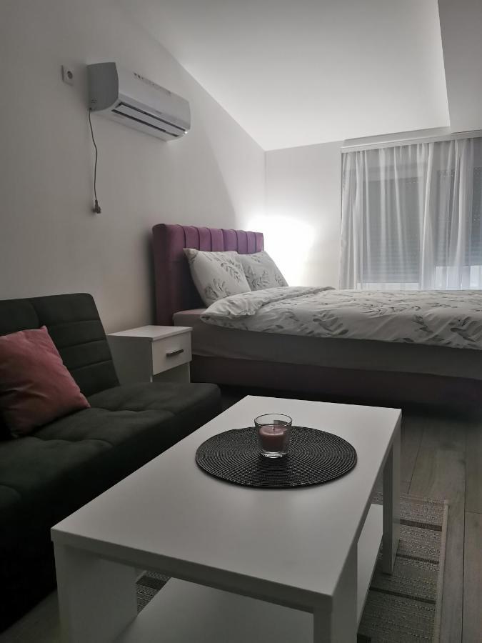 Studio Apartmani Banja Koviljača Εξωτερικό φωτογραφία