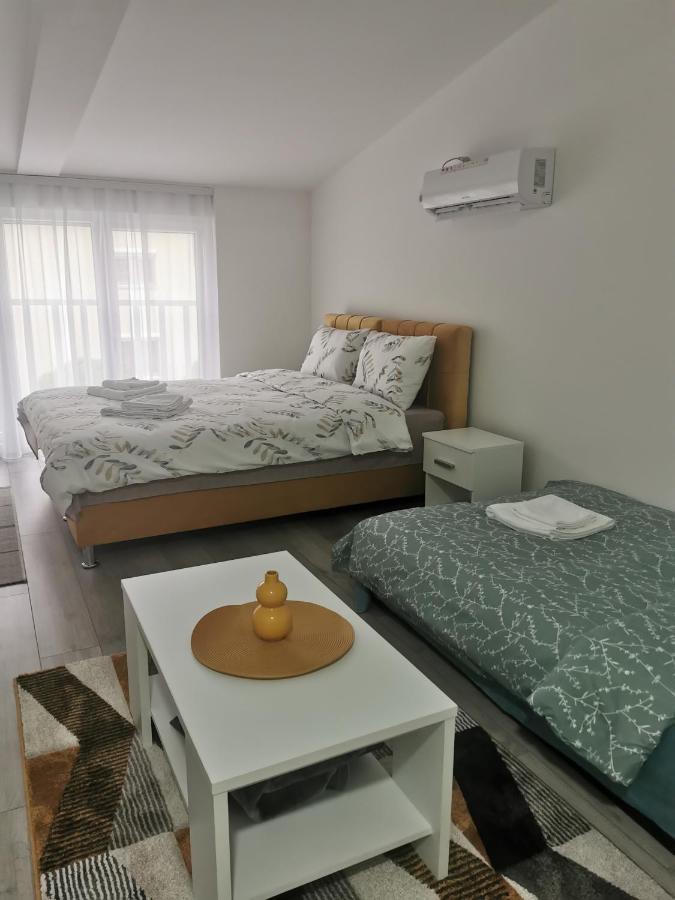 Studio Apartmani Banja Koviljača Εξωτερικό φωτογραφία